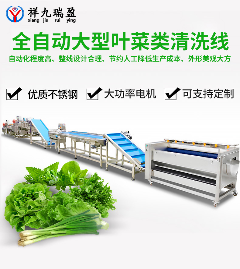 大型葉菜類清洗線生產流程與配套設備，你知道有多少？